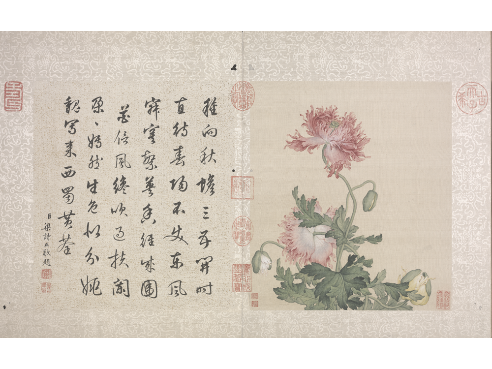 图片[4]-Lang Shining Flowers and Birds Illustrated Books-China Archive